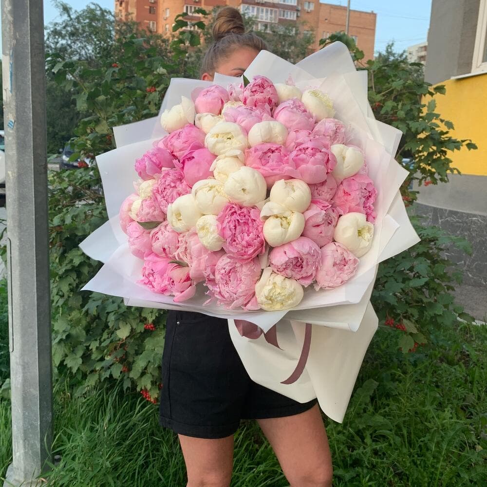 51 пион — купить с доставкой цветов в Самаре